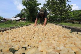 Kementerian UMKM gandeng IKPI untuk pendampingan pajak UMKM