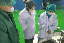 Badan Karantina Indonesia perkuat hilirisasi lada putih Babel
