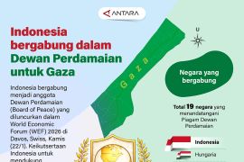 Indonesia bergabung dalam Dewan Perdamaian untuk Gaza