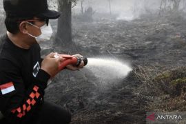 Bupati Kubu Raya bantu padamkan api karhutla di Limbung