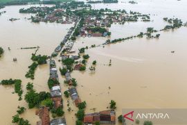 Ribuan hektare sawah di Karawang terendam banjir