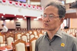 Legislator Kalteng ini tidak setuju kepala daerah dipilih DPRD