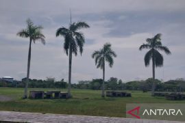 Kabupaten Penajam tingkatkan estetika RTH untuk beri manfaat warga