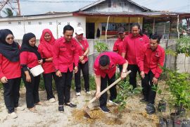 Ultah Ke-79 Megawati, DPC PDI Perjuangan Basel gelar penanaman pohon