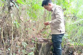 Kalsel kemarin dari pilar batas hingga pasar murah