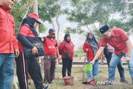 DPC PDIP Bangka Barat gelar aksi tanam pohon di Pantai Baturakit