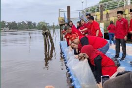 DPC PDIP Siak lepas 7.900 benih ikan lele di Sungai Siak peringati ulang tahun Megawati