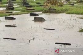 Banjir Jakarta, 125 RT dan 14 ruas jalan masih terendam