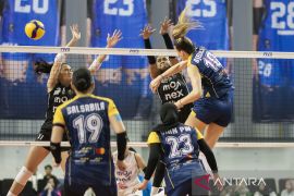 Proliga 2026: Jakarta Livin Mandiri tekuk Medan Falcons 3-1