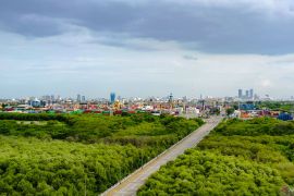 Terminal Petikemas Surabaya perluas ruang terbuka hijau