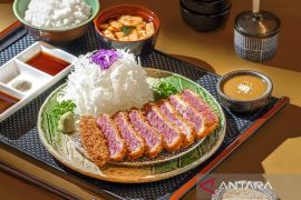 Kiat menambah asupan zat besi dalam pola makan