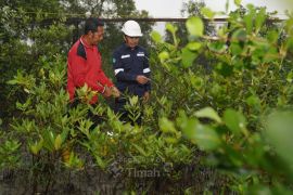 "Seribu Pohon Untuk Negeri" PT Timah tanam 1.400 pohon buah-buahan