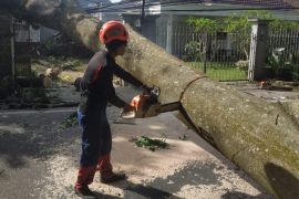 Ini penyebab angin kencang di Malang menurut BMKG