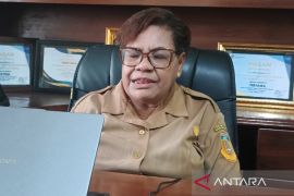 Dinas Pertanian catat luas lahan tanaman bawang merah di Papua 102,14 hektare