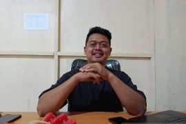 Kebutuhan sayuran untuk MBG capai satu ton per hari di Jayawijaya