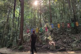 Dishut Lampung sebut pemanfaatan jasa lingkungan hutan jadi potensi PAD