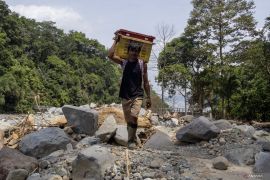 Petani manggis Tanah Datar Sumbar mulai bangkit usai terdampak bencana