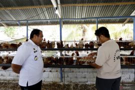 Lapas Gorontalo kembangkan bidang peternakan bagi warga binaan