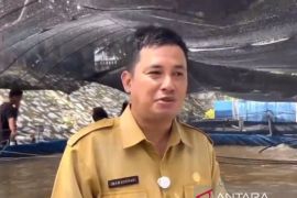 Bangka Tengah kembangkan udang vaname ramah lingkungan