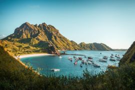 Pertama Kali ke Pulau Komodo? Ini Panduan Lengkap Menjelajah Habitat Sang Naga Purba
