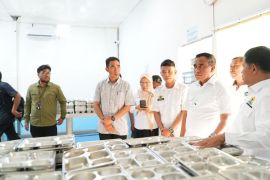 Pemprov-Sulteng dorong pemanfaatan pangan lokal untuk dapur MBG