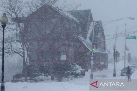 Hujan salju ekstrem di Jepang tewaskan 30 orang