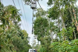 Angin kencang landa DIY, PLN pulihkan 21 penyulang utama 100 persen