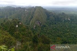 Kaltim-YKAN konsisten kelola biodiversitas Wehea-Kelay Kutim