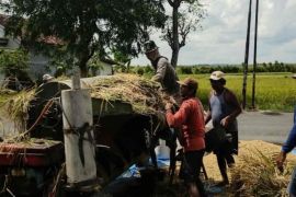 Bulog Kediri serap gabah petani sesuai HPP
