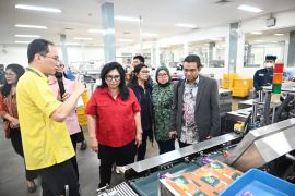 Komisi VII dorong penguatan jamu lokal UMKM melalui pembinaan