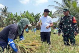 Bulog Sumut target serap 62.718 ton GKP jaga stabilitas harga di 2026