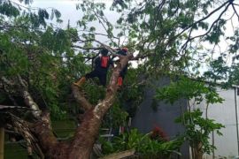 BPBD Kuningan mengimbau warga waspada potensi bencana dampak cuaca ekstrem