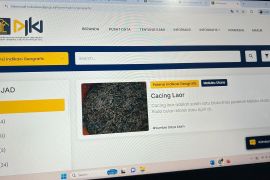 Kemenkum: Cacing Laor Jadi Potensi Indikasi Geografis dari Malut yang Dilindungi