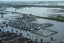 5.168 hektare sawah di Kabupaten Bekasi terdampak banjir