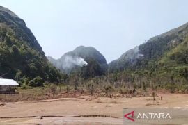 Kebakaran hutan terpantau di Jalinsum Tapsel--Madina, api di kawasan Danau Siais