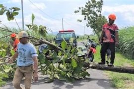 BPBD Magetan laporkan sejumlah bencana alam akibat cuaca ekstrem