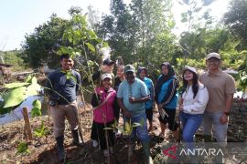 Edi Mangun, 25 tahun tanam mangrove untuk sedekah dan syukur