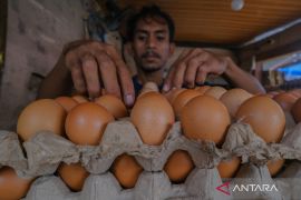 BPS catat penurunan harga di Sumbar, Sumut dan Aceh