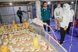 Khofifah dorong sekolah jadi laboratorium ketahanan pangan