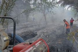 Curah hujan rendah, BMKG: Waspada karhutla di Kotawaringin Timur
