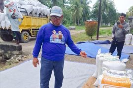 Perum Bulog Maluku nyatakan penyerapan gabah beras capai 621.090 ton per Januari