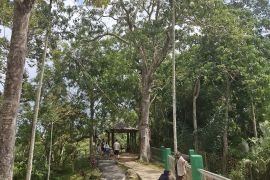 Dishut Lampung: BUMD jajaki kerja sama pengelolaan jasa lingkungan