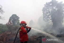 BPBD: Luas kebakaran lahan di Aceh Barat mencapai 19 Ha