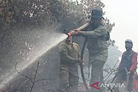 BPBD: 14 Ha lahan terbakar sudah berhasil dipadamkan