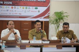 Pemprov Aceh bentuk tim khusus pemanfaatan kayu banjir untuk cegah penjarahan