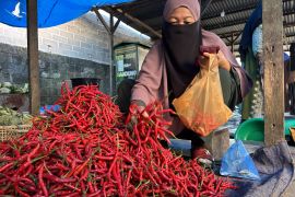 Aktivitas ekonomi di Pasar Pandan Tapanuli Tengah mulai normal