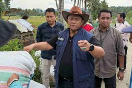 Bulog NTB targetkan serap 240 ribu ton setara beras pada 2026