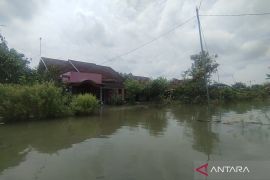 Intensitas hujan turun, jumlah desa terdampak banjir di Pati berkurang jadi 58 desa