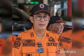 BPBD sebut potensi karhutla di Kapuas masih rendah
