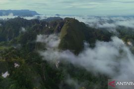 Pecinta alam di Kutim dorong percepatan pengakuan Geopark Sangkulirang-Mangkalihat